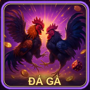 Đá gà Mỹ