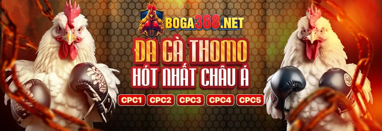 Đá gà trực tuyến tại win3333 link mới 2026